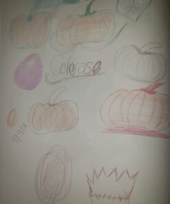 Prismacolor Col-Erase Erasable Colored Pencils, 12 Pack 12 Count (Pack of 1) 39 81yoE1qsyIL