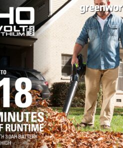 Greenworks 40V (110 MPH / 390 CFM) Cordless Axial Blower, 3.0Ah Battery and Charger Included LB-390 3Ah Battery and Charger 13 81yoWHgCVGS