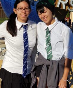 MISS FANTASY Halloween Cosplay Tie for Themed Party Costume Accessory Regular Length Classic Blue Necktie, Unisex Adult Cosplay, Tie Halloween Satin Toy Tie (M,58in) Blue-packed in Kraft Bag M, 58 inches length 32 81ysvtkylnL