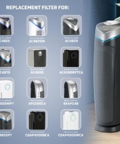 Germ Guardian Filter B HEPA Pure Genuine Air Purifier Replacement Filter, Removes 99.97% of Pollutants for AC4825, AC4300, AC4900, AC4825DLX, AC4850, CDAP4500, AP2200, Black/Yellow, FLT4825 FLT4825 HEPA PURE 26 81yumGfHc3L