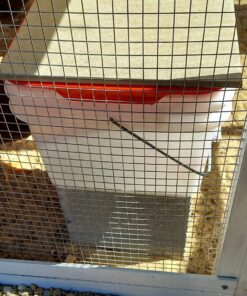 RentACoop 2 Gallon Chicken BPA-Free Plastic Bucket Waterer Set with 4 Horizontal Nipples - Corner Placement 33 81yvNYzgpzL