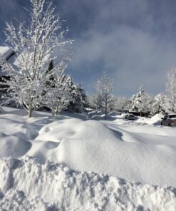 24K Magic Audio CD 16 81ywIWtDi5L