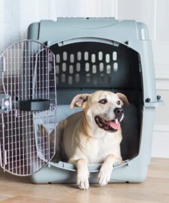 Petmate Sky Kennel Pet Carrier, 36 Inch, Made in USA 36.0"L x 25.0"W x 27.0"H 41 81z1RJAgrL