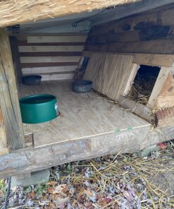 Farm Innovators P-60 1.5 Gallon 60 Watt Electric Powered Heated Pet Water Bowl with Thermostatic Control and Anti Chew Cord, Green Single 21 81z1a1n8KML