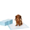 Amazon Basics Dog and Puppy Pee Pads with 5-Layer Leak-Proof Design and Quick-Dry Surface for Potty Training, Standard Absorbency, Regular Size, 22 x 22 Inch - Pack of 50, Blue & White Unscented Regular (50 Count)