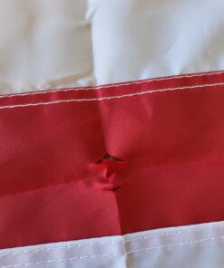 Grace Alley Flag Pole: 6 Foot Tangle Free Spinning Flag Pole. Residential or Commercial Flag Pole. Wind Resistant/Rust Free. (Silver) Silver 36 81z3Z06cPJL