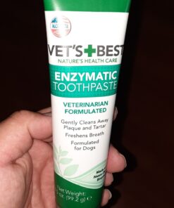 Vet’s Best Enzymatic Dog Toothpaste | Teeth Cleaning and Fresh Breath Dental Care Gel | Vet Formulated | 3.5 Ounces 1 Count 40 81z64jKJfAL
