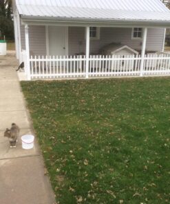 Ambient Weather WS-10 Wireless Indoor/Outdoor 8-Channel Thermo-Hygrometer with Three Remote Sensors 38 81z6aUXbeL