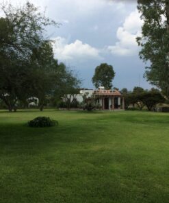 Craftsman 144959 Replacement Deck Belt 5 81z7Aw2gzNL