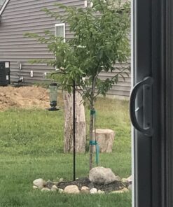 More Birds Songbird Vintage Bird Feeder, Sunflower and Thistle Feeder, 4 Feeding Ports, 1.5 lb Seed Capacity Vintage Glass 24 81z7RErEIWL