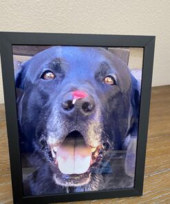 upsimples 8x10 Picture Frame, Display Pictures 5x7 with Mat or 8x10 Without Mat, Wall Hanging Photo Frame, Black, 1 Pack 35 81z8YVahJpL