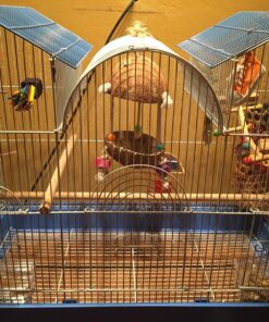 Prevue Hendryx Triple Roof Cockatiel Cage, Blue and White Blue & White 20 81z8cHf8dLL 3