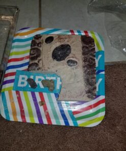 NATIONAL GEOGRAPHIC Mega Fossil Dig Kit - Excavate 15 Genuine Prehistoric Fossils, Kids Educational Toys, Great Science Kit Gift for Girls and Boys (Amazon Exclusive) 37 81zCIGocV0L