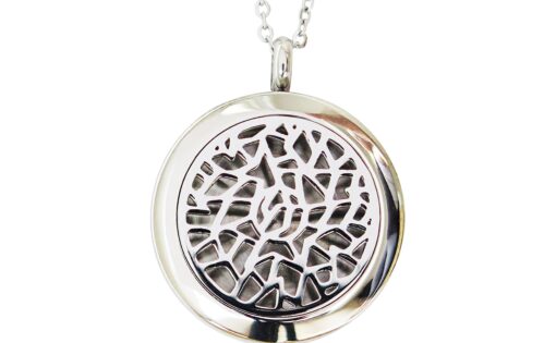 Coral Bliss Essential Oil Diffuser Necklace with Leakproof Locket - Hypoallergenic 316L Surgical Grade Stainless Steel 25mm Aromatherapy Jewelry (2 Chain Designs, 5 Reusable Pads, Microfiber Pouch) Traditional