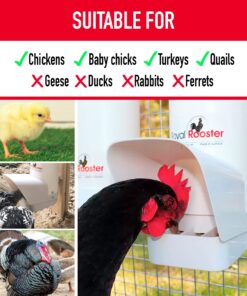 Royal Rooster Automatic Chicken Feeder with Gravity Feed Dispenser - 7lb Feeder for Chickens, Chicks & Mixed Poultry - Hanging Chicken Poultry Feeder - Auto PVC Chicken Poultry Feeder with Rain Cover 26 81zESGcJEvL
