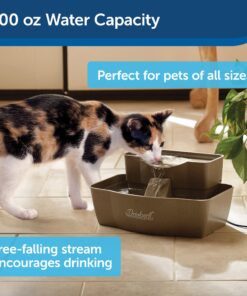 PetSafe Multi-Tier Fountain – Large Waterer Great for Cats and Dogs – 2 Heights to Drink From – Great for Senior Pets – 100 Oz Capacity – Fresh, Filtered Water 25 81zG1ZcSsyL