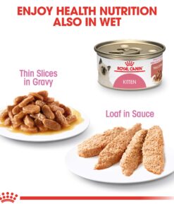 Royal Canin Feline Health Nutrition Kitten Dry Cat Food, 15 lb bag 15 Pound (Pack of 1) 26 81zJe7lQYHL