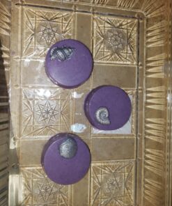 Cybrtrayd Life of the Party Plain Cookie Chocolate Candy Mold in Sealed Protective Poly Bag Imprinted with Copyrighted Cybrtrayd Molding Instructions 28 81zL7DXJGNL