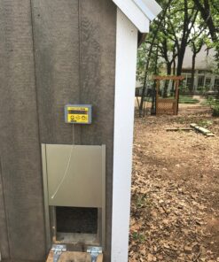 Automatic Locking Chicken Coop Door - Chicken House Pop Hole - for Poultry and Ducks 6 81zLR1opaoL