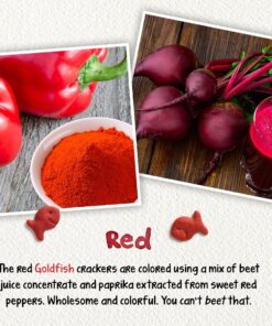 Pepperidge Farm Goldfish Variety Pack Crackers, 37.6 Ounce Snack Packs, 40 Count Box 29 81zMCQyWPL