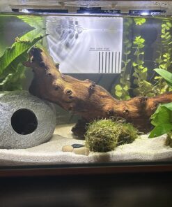 Seachem Indoor Purigen Organic Filtration Resin - Fresh and Saltwater 100 ml 43 81zNw2CmnjL