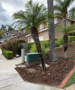 Power Planter Bulb & Bedding Black Auger Bit (3"x7") with 3/8" Non-Slip Hex Drive for Bulb Planting and Gardening Equipment for Grass and The Lawn, Mixing Paint, Earth Auger for Home Projects 20 81zO7joH1HL