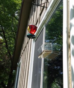 Tranquil Outdoors Large Acrylic Window Bird Feeder: Strong Removable Suction Cup Mounted Outdoor Bird House Feeder, Clear Birdfeeders for Large & Small Birds. Best See Thru Feeder for Bird Watching 79 81zPuPnk L