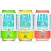 Mother Kombucha Agua Bucha | Kombucha Powered Sparkling Water | Variety Pack | Light & Delicious | Vitamin Rich & Only 4 Calories | USDA Organic | No Artificial Ingredients | B12 |12 fl Oz (12 pack) 12.05 Fl Oz (Pack of 12)