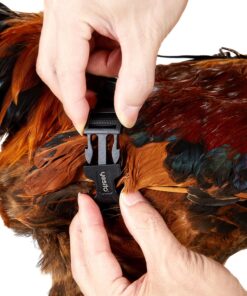 Yesito Chicken Harness Hen Size with 6-Foot Matching Belt, Comfortable, Breathable, Small Size, Suitable for Chicken, Duck or Goose Suitable for Weight About 2.3-3.8Pounds, Green (Months, Pink) Medium 12 81zSzm9qtsL
