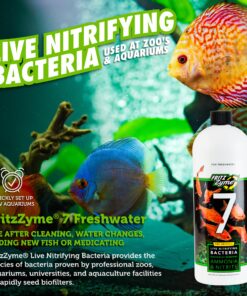 Fritz Aquatics FritzZyme 7 Live Nitrifying Bacteria Naturally Removes Amonia & Nitrite for Freshwater Fish (32-Ounce) 32 oz 17 81zT3pkbKgL