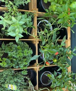 VegTrug 8 Pocket Herb Garden Brown 61 81zTX LvToL