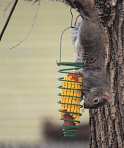 Alternative view of Woodlink 75530 Corn Trapper Spring Squirrel Feeder