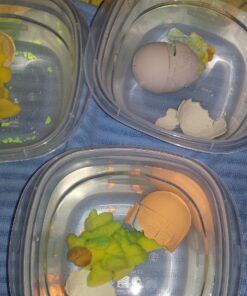 SCS Direct Animal Planet Super Grow Dinosaur Eggs 3 Pack - Toys Hatch and Grow to 3X Size in Water - T-Rex, Triceratops, & Ankylosaurus - Includes Dino Educational Fact Cards 31 81zbZ8P1twL