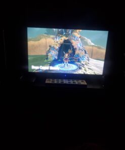 The Legend of Zelda: Breath of the Wild - US Version Nintendo Switch Standard 58 81zdDZLEzqL