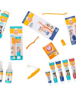 Arm & Hammer for Pets Fresh Breath Kit for Dogs | Contains Toothpaste, Toothbrush & Fingerbrush | Reduces Plaque & Tartar Buildup | Safe for Puppies, 3-Piece Kit, Chicken Flavor Dogs - Chicken Flavor 2.5 Oz (Pack of 1) 26 81zg95ka9tL 1
