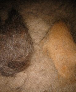 Mr. Peanut's Grooming Glove Brush and Deshedding Aid - Pet Hair Remover Mitt - for Long and Short Hair Grooming of Dogs, Horses, Bunnies and Some Agreeable Cats 46 81zjBsjwbdL