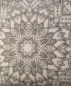 Mandala Coloring Book: 100+ Unique Mandala Designs and Stress Relieving Patterns for Adult Relaxation, Meditation, and Happiness (Magnificent Mandalas) Paperback, Large Print 94 81zsQXC7FjL