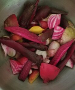 Seed Needs, 1,500+ Rainbow Beet Seed Mixture - 8 Variety Heirloom Mix (Beta vulgaris) Bulk Non-GMO 54 81zsdFdxPoL