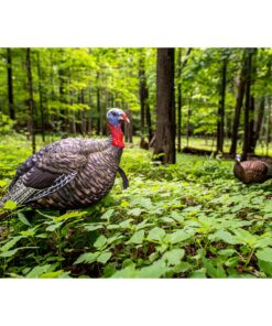 AVIAN-X LCD Breeder Hen Turkey Decoy | Durable Realistic Lifelike Collapsible Standing Hunting Decoy with Carry Bag & Stake, AVX8008 22 81zth4YX2nL