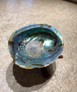 Natural Abalone (Pāua) Shell, with Stand,6-6.5 Inches,Supreme for Smudging,Cleansing Home,Meditation,Shell Crafts,Incense Holder,100% Natural, Sustainably Sourced by Ocean Shell Studios NZ 6"-6.5" 33 81ztlzNdML