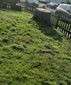 Hydro Mousse Liquid Lawn System - Grow Grass Where You Spray It - Made in USA High Performance Grass Blend 28 91 338aiDAL