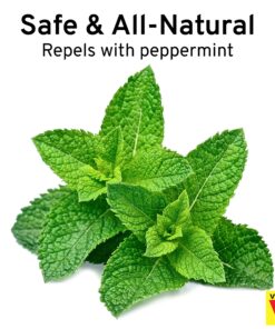 Victor M805 Scent-Away Natural Rodent Repeller – Peppermint Oil Mouse and Rat Repellent – 5 High-Strength Rodent Repelling Sachets Included 1 Pack - 5 Sachets 20 91 4PclgCxL