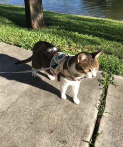 JETech Case for iPhone 8 Plus and iPhone 7 Plus 5.5-Inch, Non-Yellowing Shockproof Phone Bumper Cover, Anti-Scratch Clear Back (Clear) 45 91 9aUKelyL