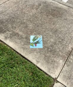 TEDCO 8" X 10" Sun Art Paper Kit - 12 Sheets 27 91 JQd eNVL