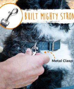 Mighty Paw Dual Dog Leash - Suitable for Two Dogs - Leash for 2 Dogs No Tangle - Leash Splitter - Large and Small Dog Compatible - Dual Leash Attachment - Double Clip Dog Leash Coupler - Dog Splitter Double Leash Standard | Dogs 30+ lbs 30 91 mpPIkt5S
