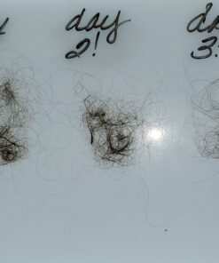 Volumizing Biotin Shampoo and Conditioner Set - Sulfate Free Shampoo and Conditioner for Dry Damaged Hair Care - Thinning Hair Shampoo and Conditioner with Nourishing Biotin and Rosemary Oil (8oz) 8.00 Fl Oz (Pack of 2) 28 91 qjZjMyAL