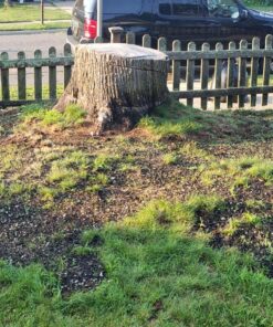 Hydro Mousse Liquid Lawn System - Grow Grass Where You Spray It - Made in USA High Performance Grass Blend 29 910JnIes2sL