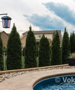 Flowtron Bug Zapper, 1 Acre of Outdoor Coverage with Powerful 40W Bulb & 5600V Instant Killing Grid, Electric Insect, Fly & Mosquito Zapper, Made in The USA 27 910LKqslHCL