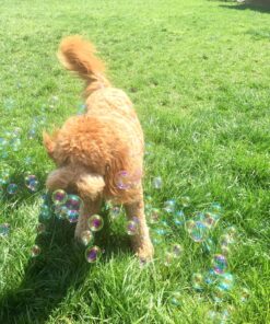Gazillion Tornado Bubble Machine - Kids Bubble Blower - Blows 4500 Bubbles per Minute - Ideal for Outdoor Fun & Parties - Includes 4 oz. Gazillion Bubble Non-Toxic Solution Green 33 910NWcc htL