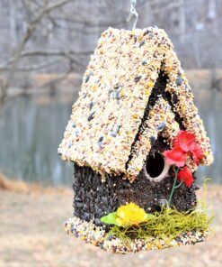 Edible Birdhouse Handmade - Unique Reseedable Bird Feeder Wooden Birdhouse Covered w/Birdseed- Made in USA (Tall, Light Roof) Tall 5 910NZ72EX L